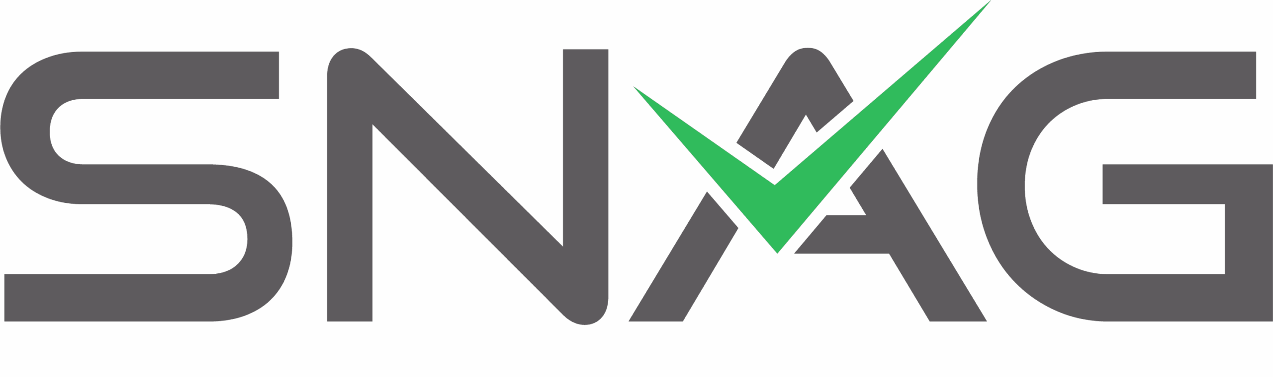 Snag Logo Rgb Grau Gruen Ohne Tal (002)